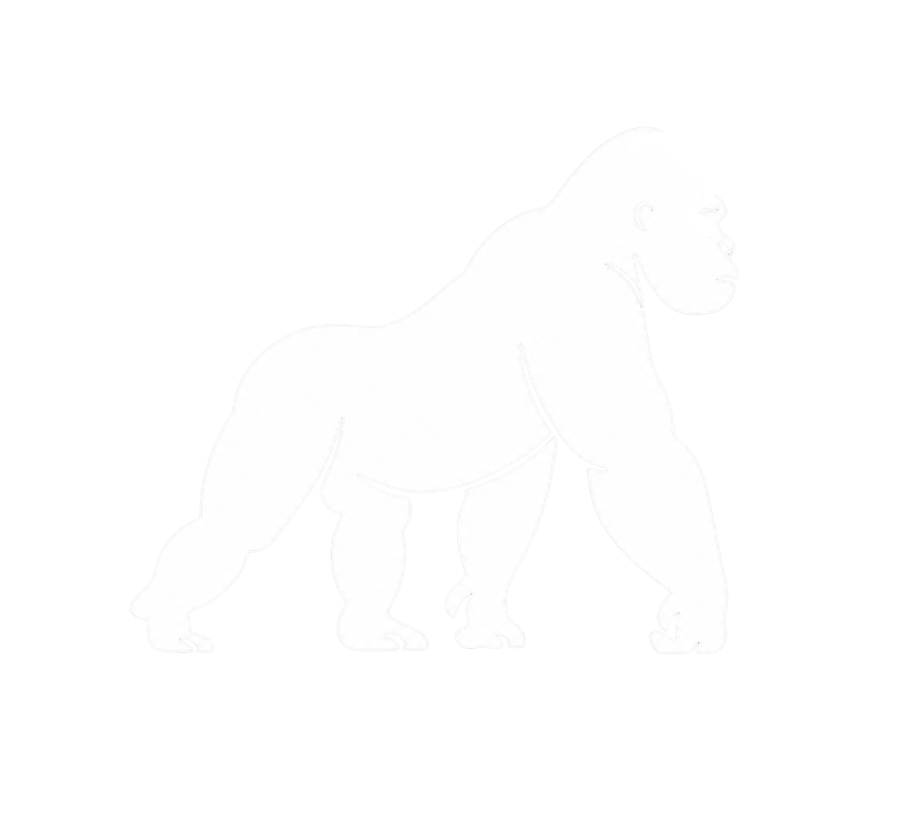 AMA Wealth Management